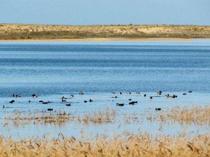 La Gallega Valdoviño Εξωτερικό φωτογραφία